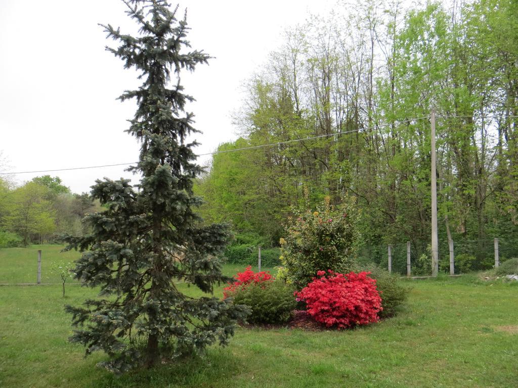 B&B Il Rovere Gattico Zewnętrze zdjęcie
